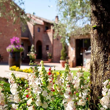Great In A In Tuscany * Petrignano Del Lago
